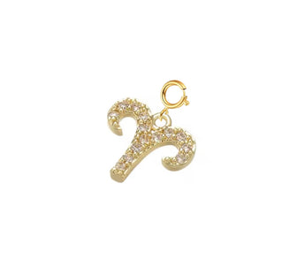 DEtachable Charms ~ Zodiacs